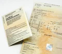 Cartes grises
